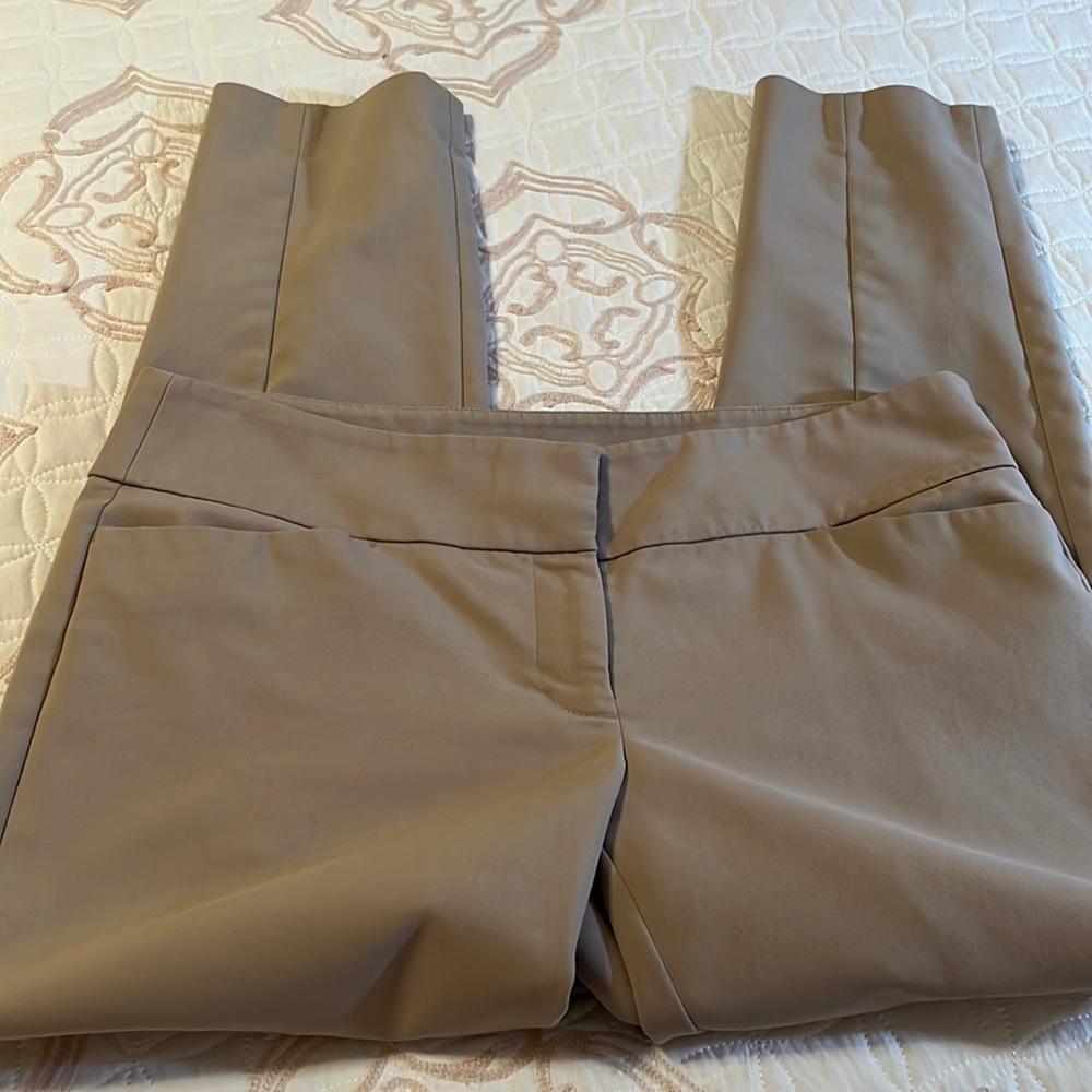 Loft tan pant (Marisa straight)